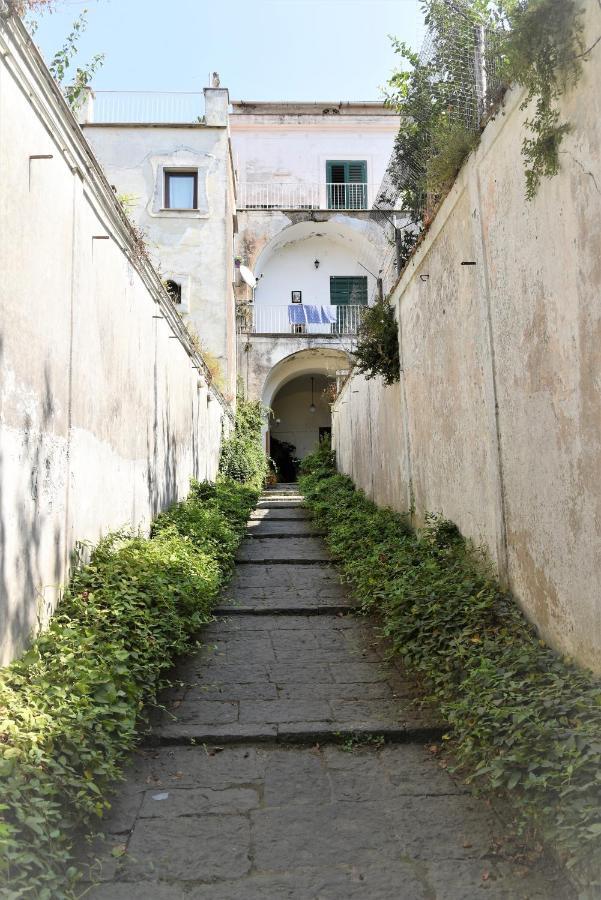 Casa Vacanza "Nonna Matilde" A Meta Di Sorrento, 600Mt Dal Mare, Casa Per 4 Exteriér fotografie