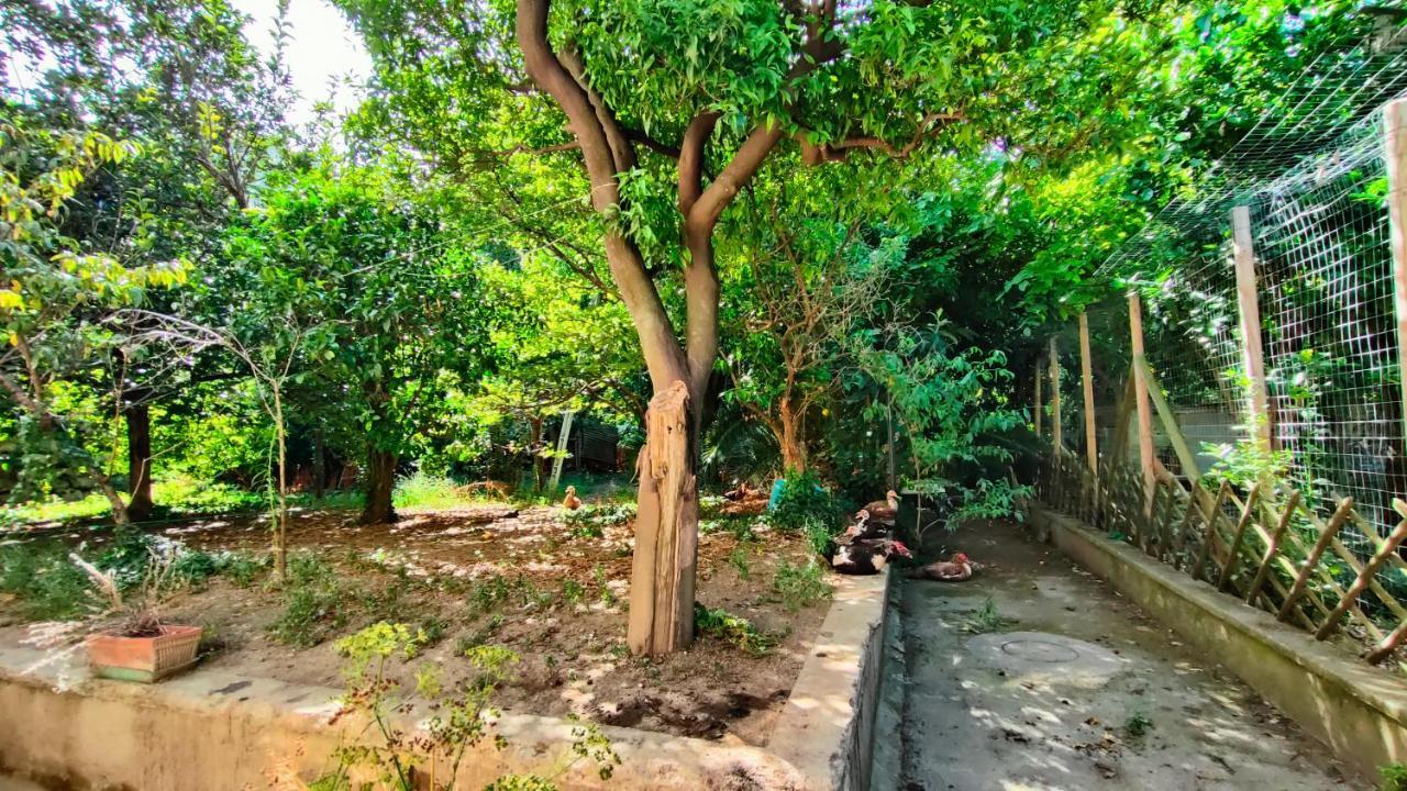 Casa Vacanza "Nonna Matilde" A Meta Di Sorrento, 600Mt Dal Mare, Casa Per 4 Exteriér fotografie